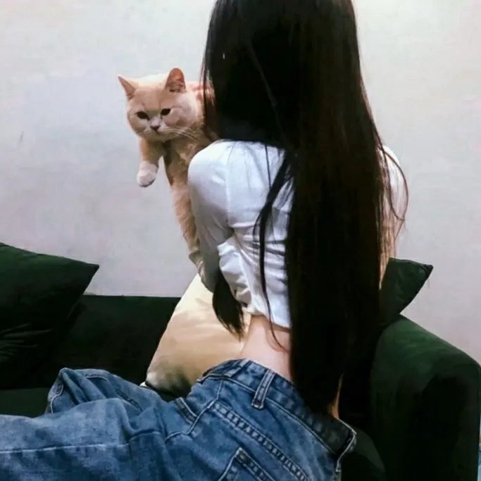查理曼